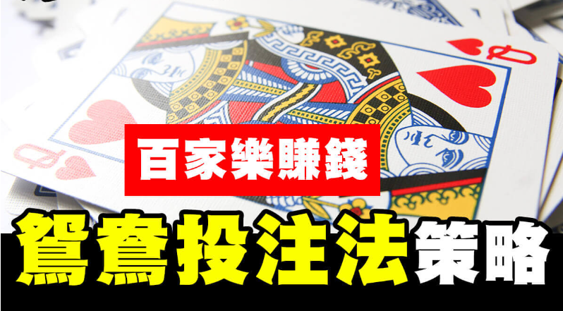 百家樂鴛鴦投注法|鴛鴦投注法