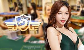 官方合作夥伴-DG真人 線上真人娛樂平台|TU娛樂城